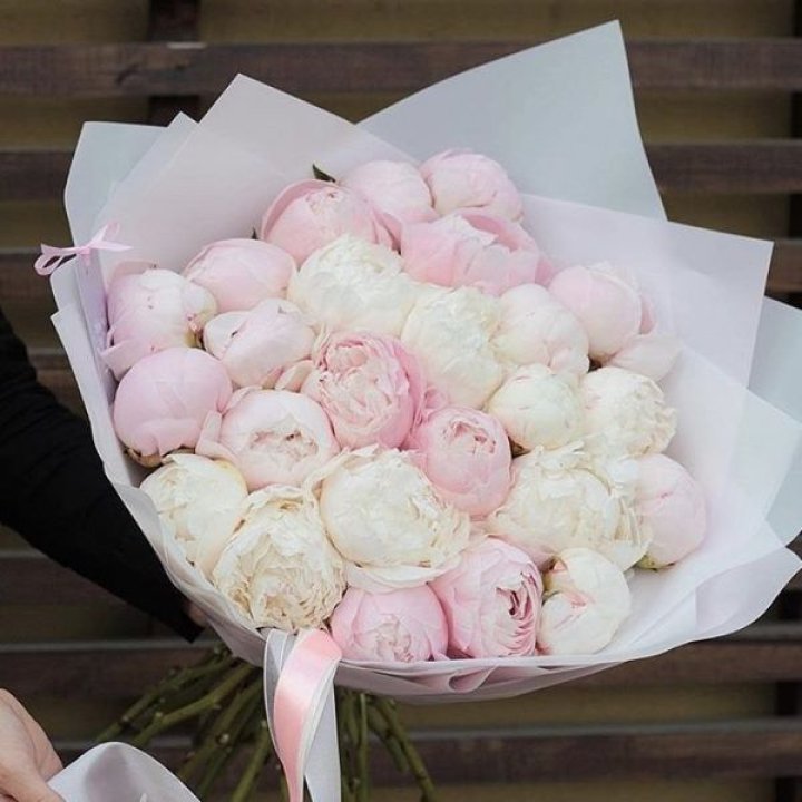 29 пионов в Прокопьевске