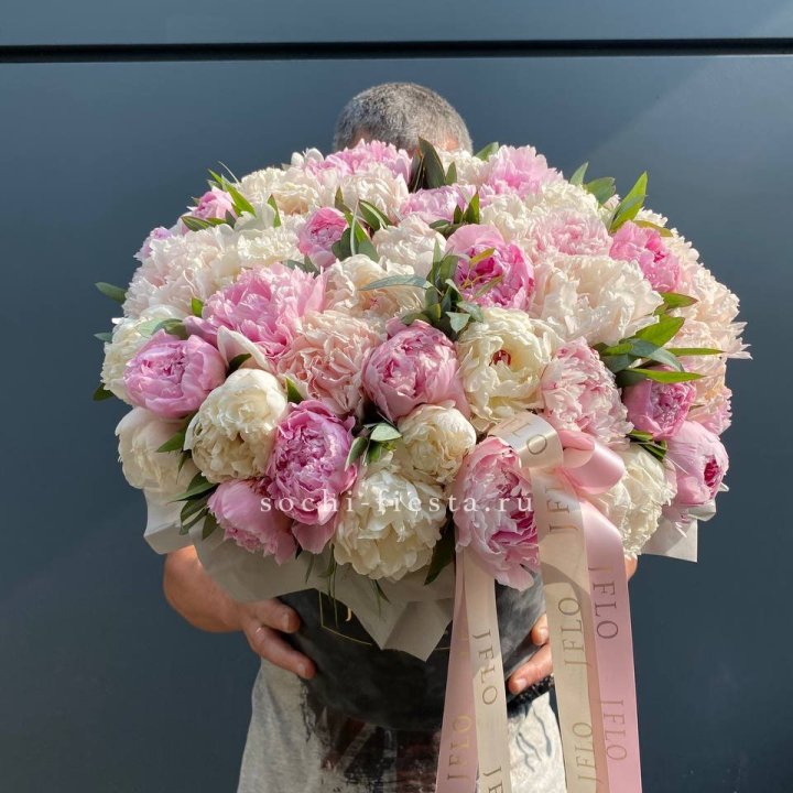 51 пионов в боксе в Прокопьевске