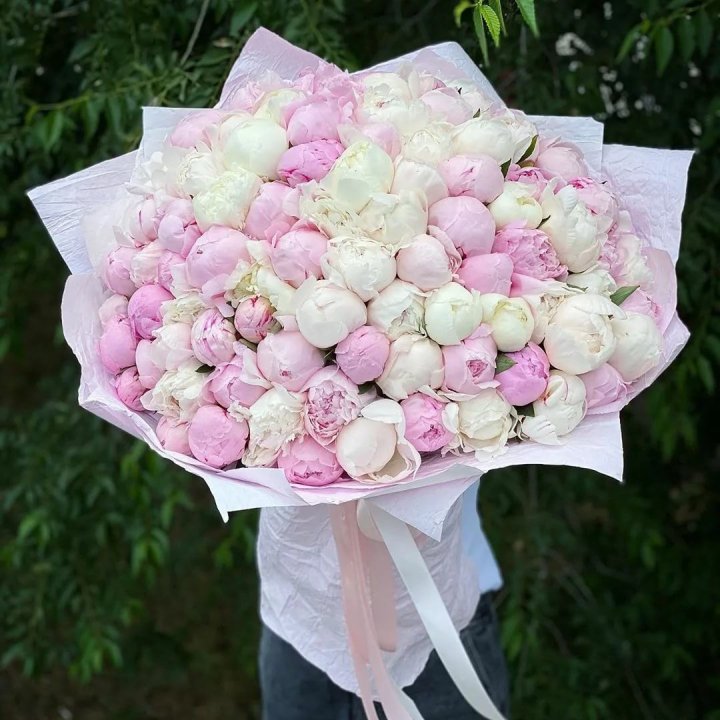 101 пион в Прокопьевске