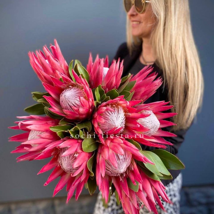 Протея штучно в Прокопьевске