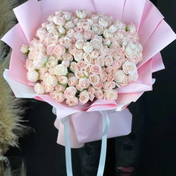 51 бомбастик  в Прокопьевске