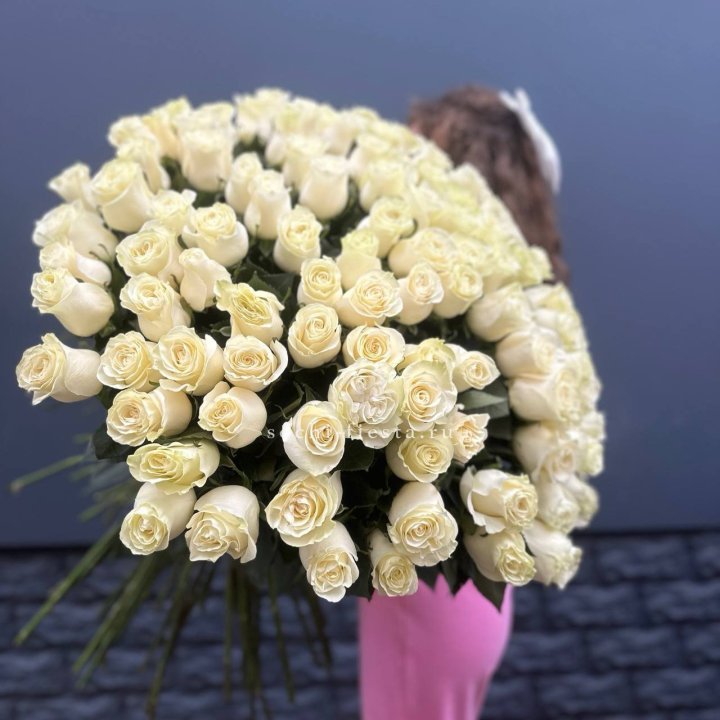 101 белая высокая импортная роза под ленту в Прокопьевске