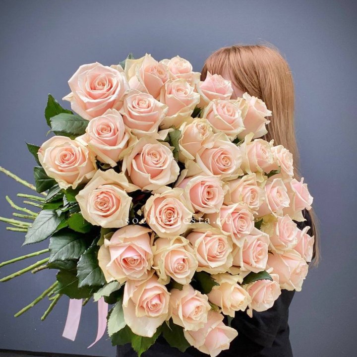 35 кремовых высоких роз в Прокопьевске