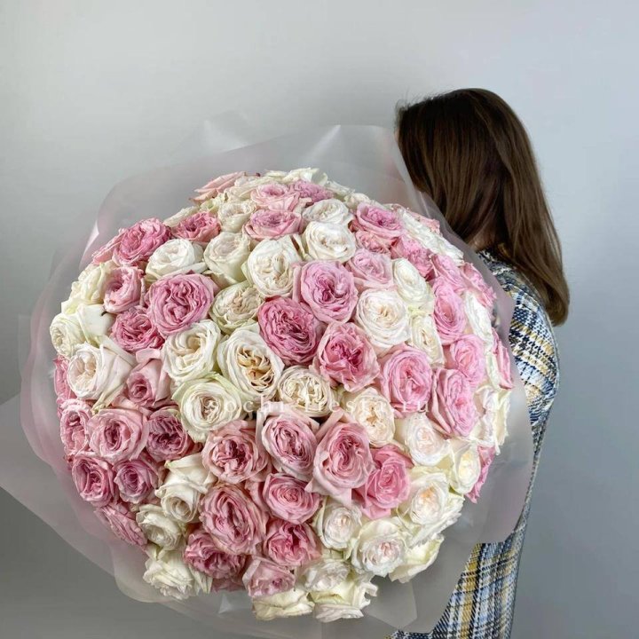 101 роз Охара в Прокопьевске