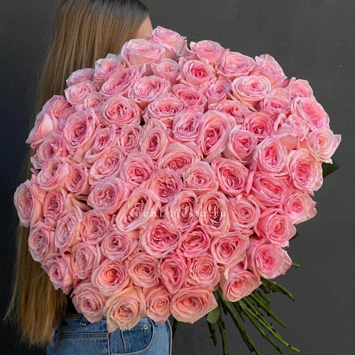 75 роз Охара в Прокопьевске