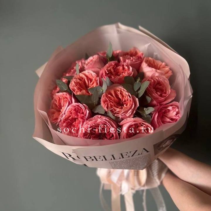 15 Пинк экспрешен в Прокопьевске