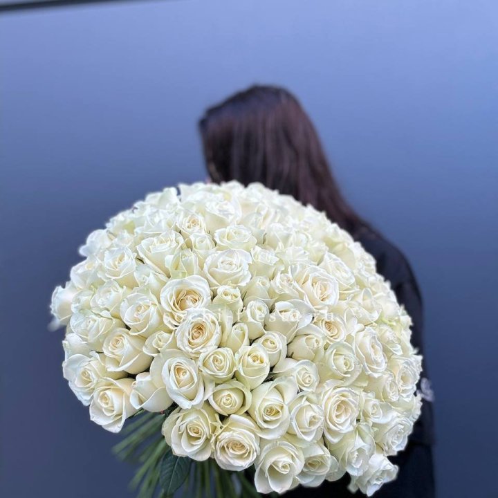 Охапка из 101 белой розы  в Прокопьевске