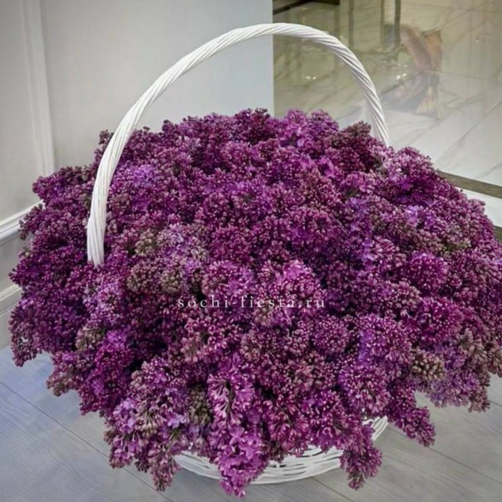 Корзина сирени в Прокопьевске