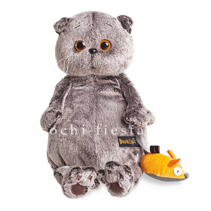 Кот Басик с мышкой в Прокопьевске