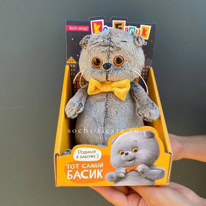 Кот Басик с бабочкой в Прокопьевске