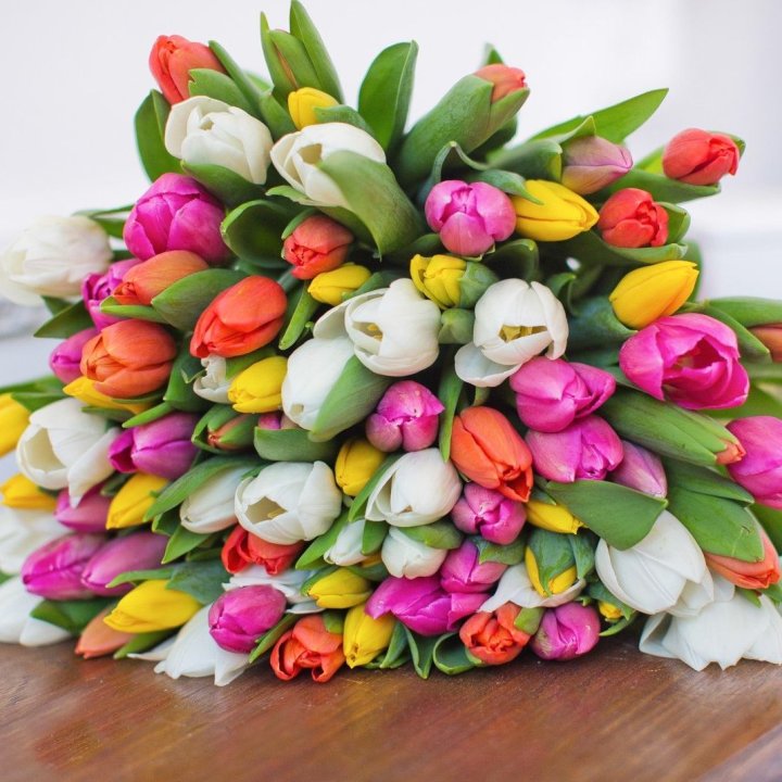 79 тюльпанов "Рандом" в Прокопьевске