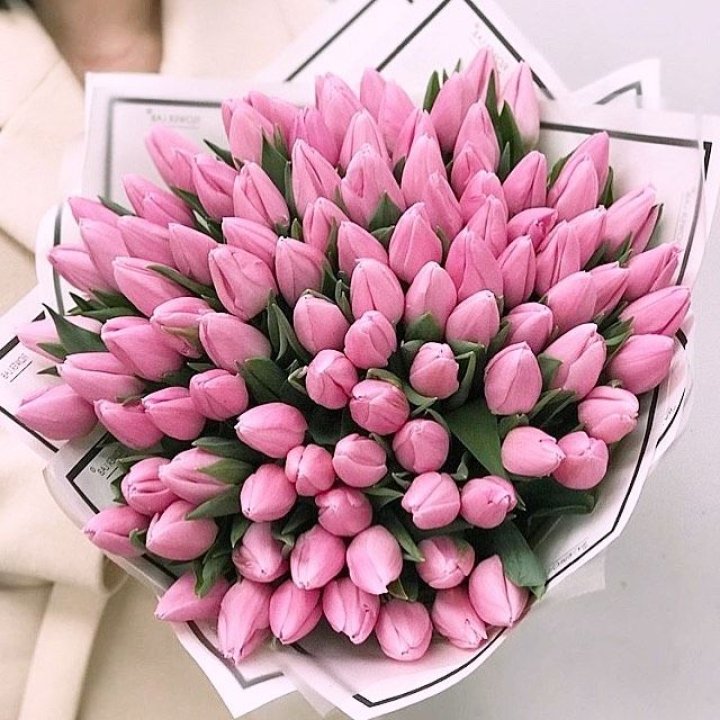 101 розовый тюльпан в белом в Прокопьевске