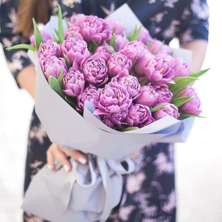 Тюльпаны "Пионс" в Прокопьевске