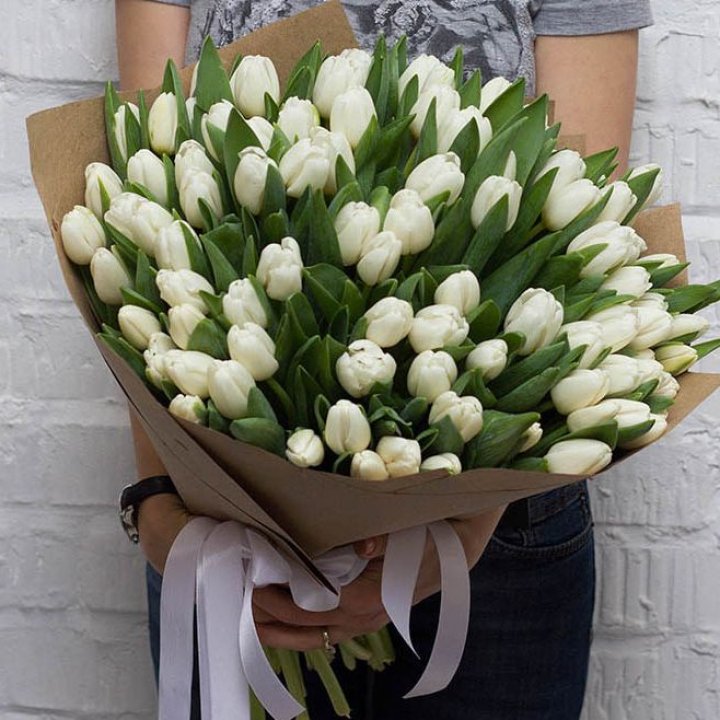 101 тюльпан сноу в Прокопьевске