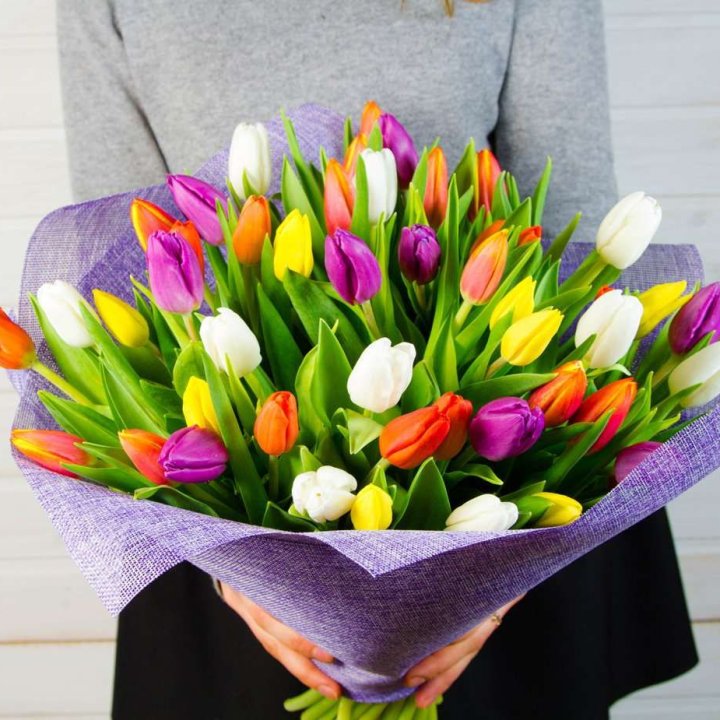 51 тюльпан "Рандом" №2 в Прокопьевске