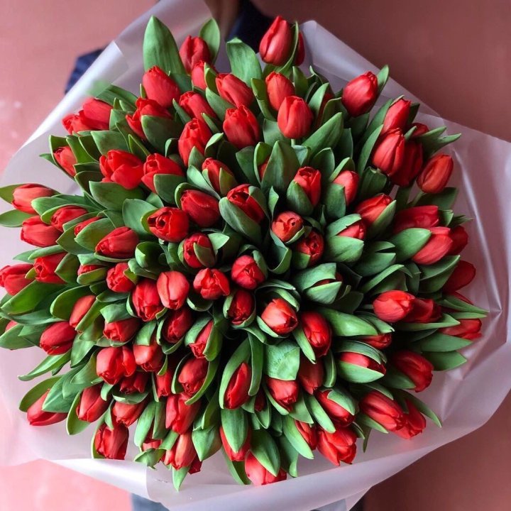 101 красный тюльпан в Прокопьевске